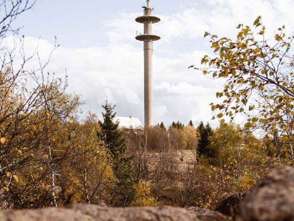 AltenbergerMoor4