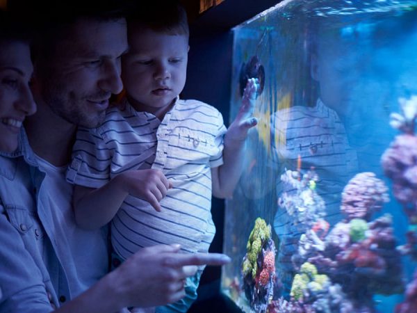 meeresaquarium-oberwiesenthal-03
